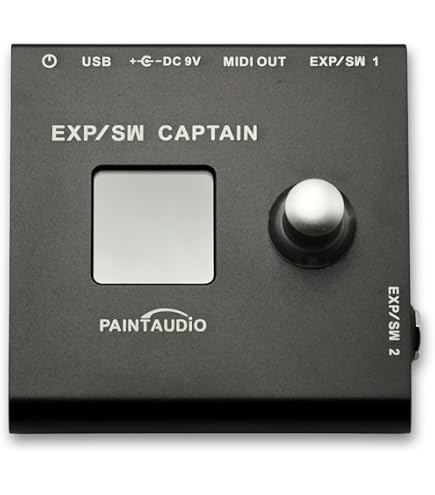 PAINTAUDIO MIDI Captain Nano 4/Mini 6ft Controller Multi-Effect